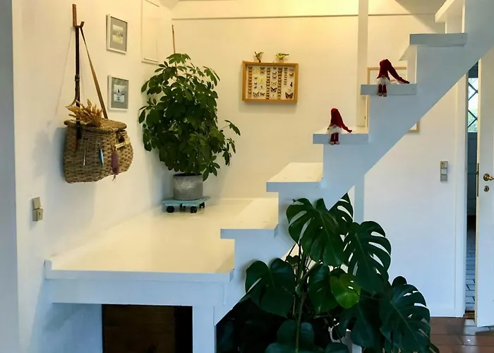 Historic House With Beautiful View On South Funen * Fjaellebroen